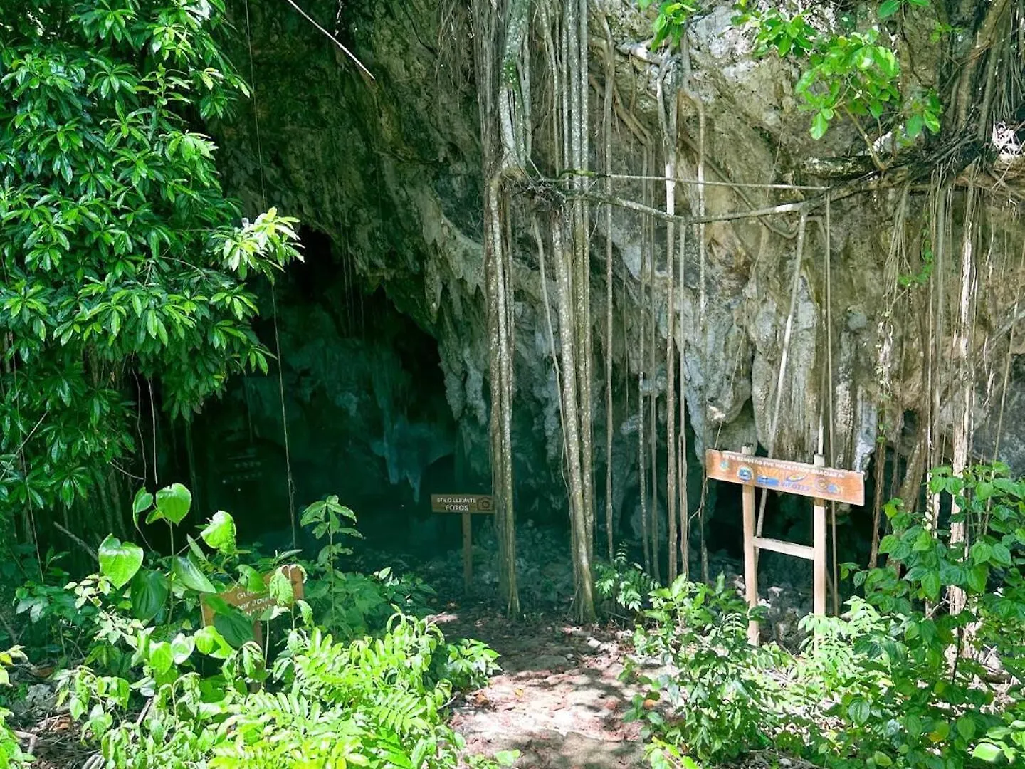 Villavida Boutique Hotel - La Playita Las Galeras
